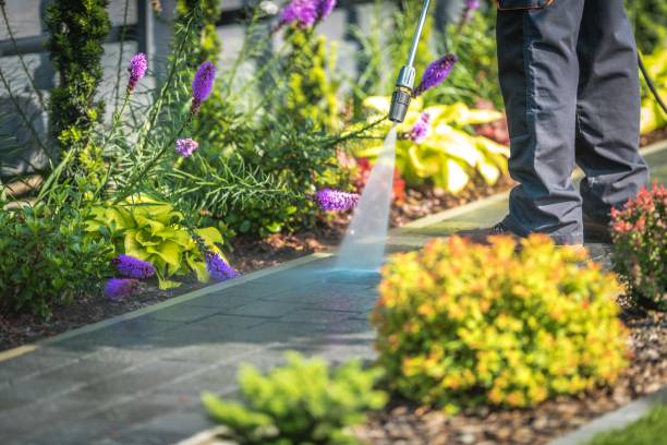 Trusted Cottageville, SC Pressure Washing Services Experts